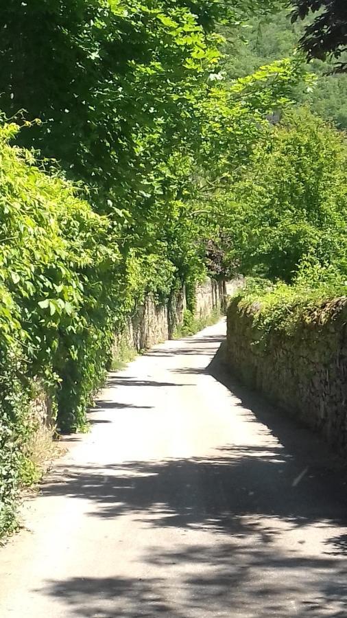 Gite 4 Personnes Au Calme Et Tout Confort Saint-Vallier  Luaran gambar